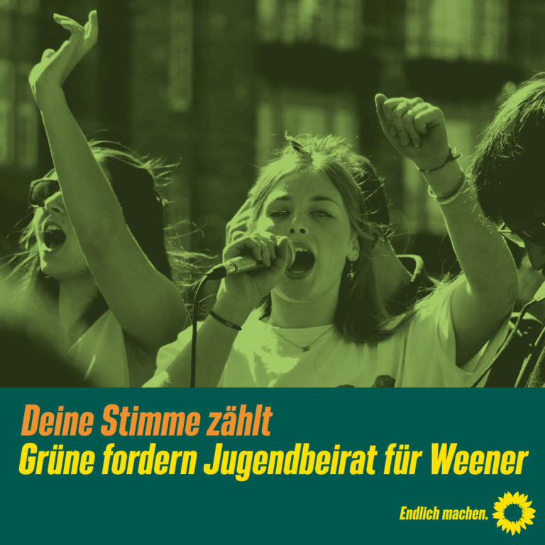 Grüne fordern Jugendbeirat für Weener